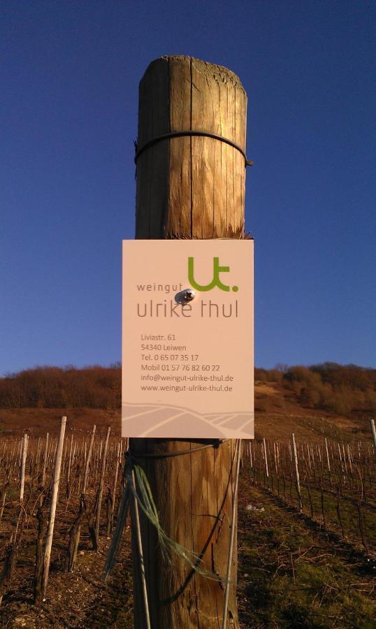 Ferienweingut Ulrike Thul